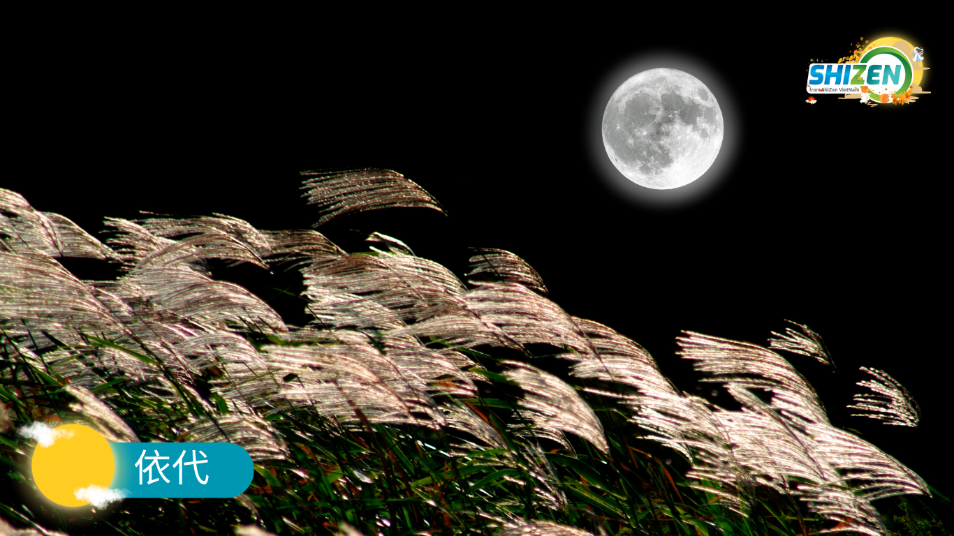 Cỏ lau - vật trang trí để ngắm trăng của người Nhật
